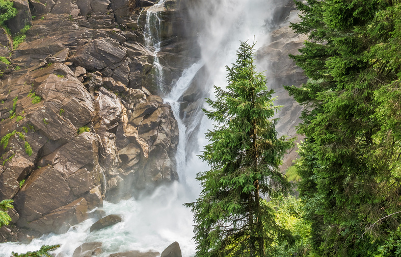 Waterfall of Krimml in Salzburgerland, Austria with spruce tree in the foreground